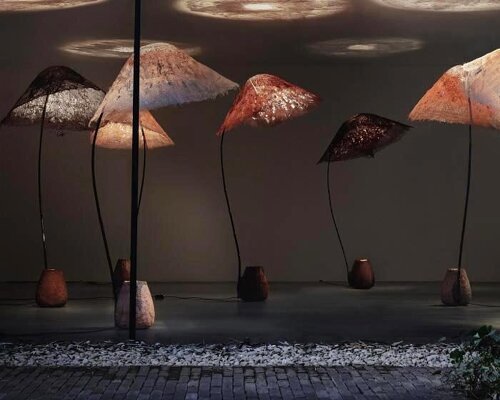 bamboo and linen shape luminous sculptures informed by forest and underwater light
