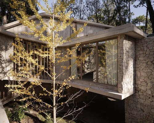 elevated glazed walkways frame house’s panoramic views through cariló’s forest in argentina