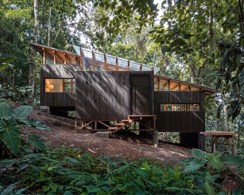 minqa atelier steps charred timber refuge down a steep slope in ecuador’s chocó forest