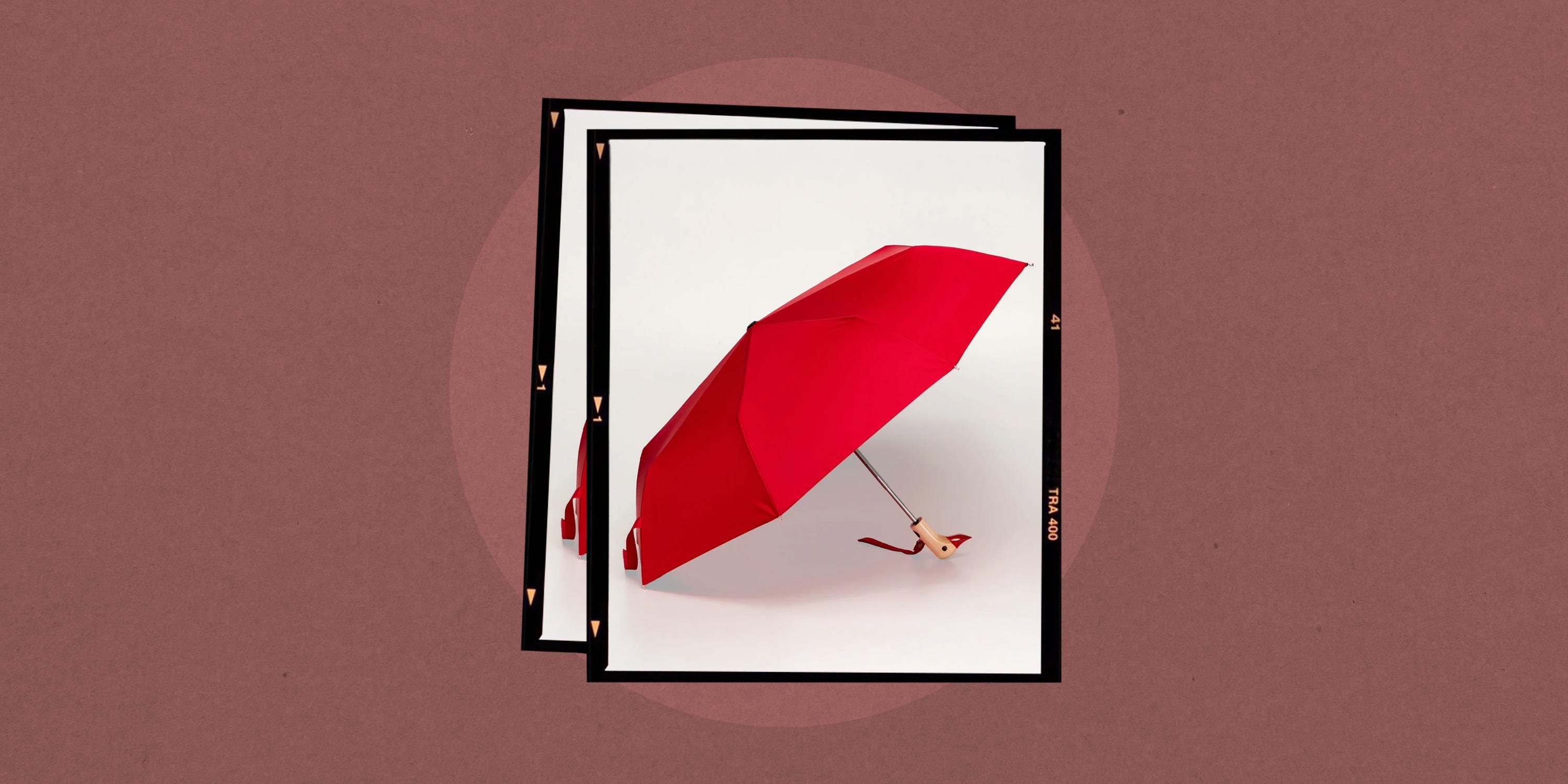 Obsession: The Duck-Head Umbrella Everyone Asks Me About