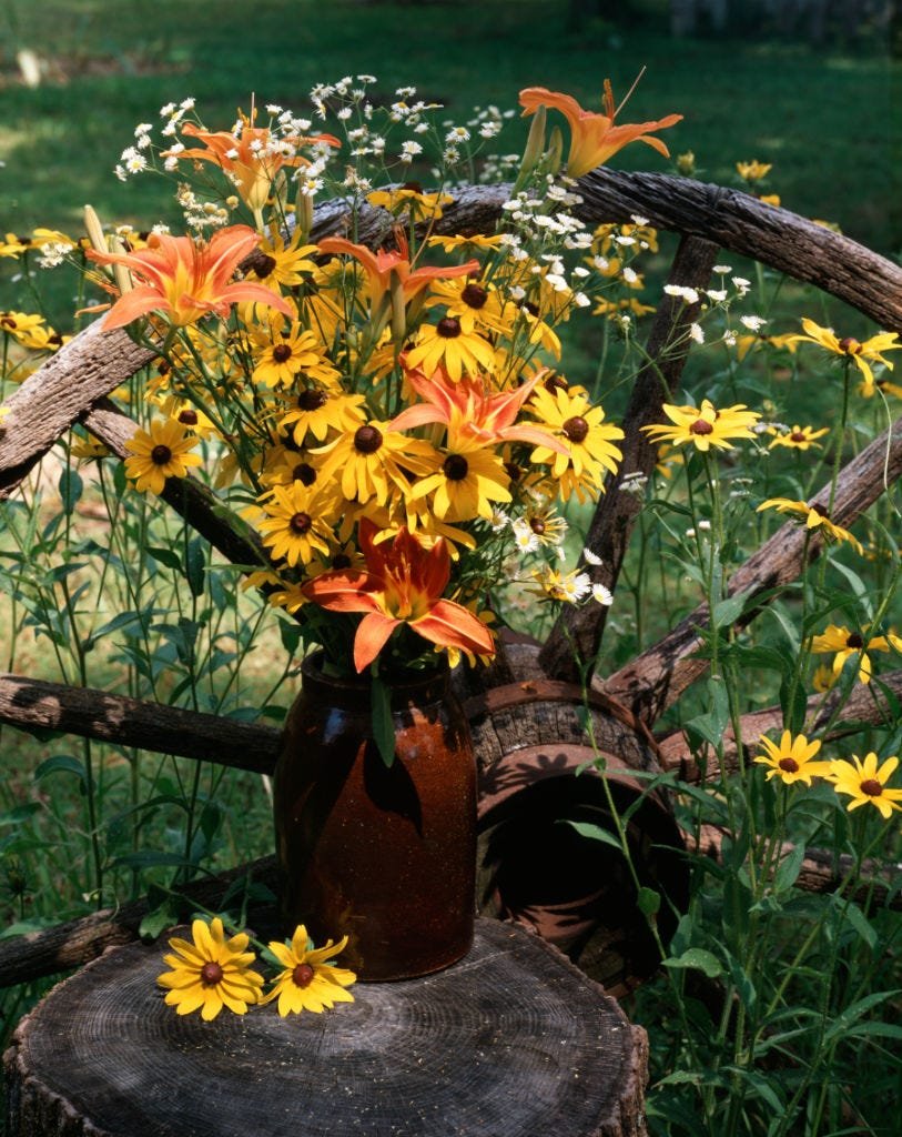 The Best Late-Summer Flowers to Keep Your Garden Colorful Through Fall