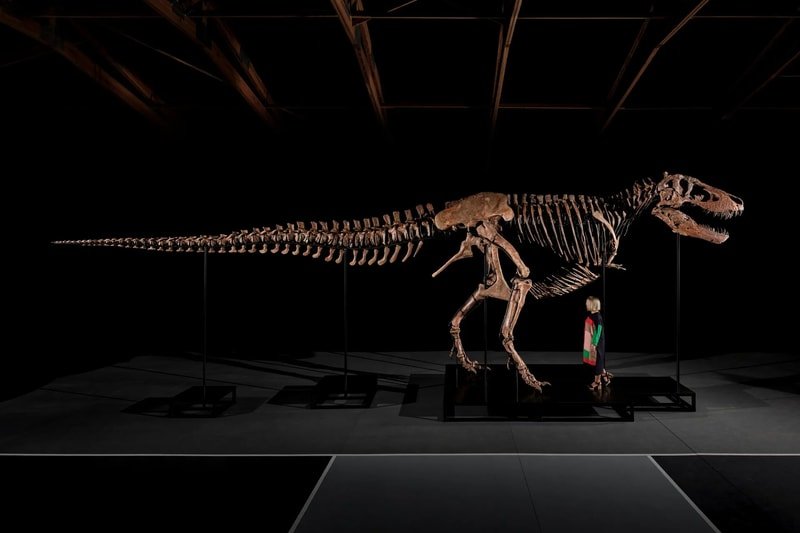 Gus the T-Rex Sells for Record $50.1 Million USD at Sotheby's