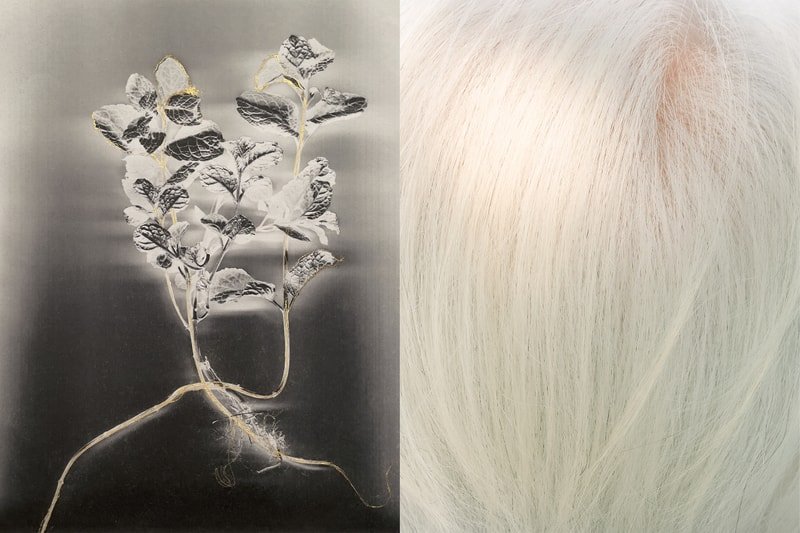 The World’s Oldest Photography Exhibition Returns to London's Saatchi Gallery