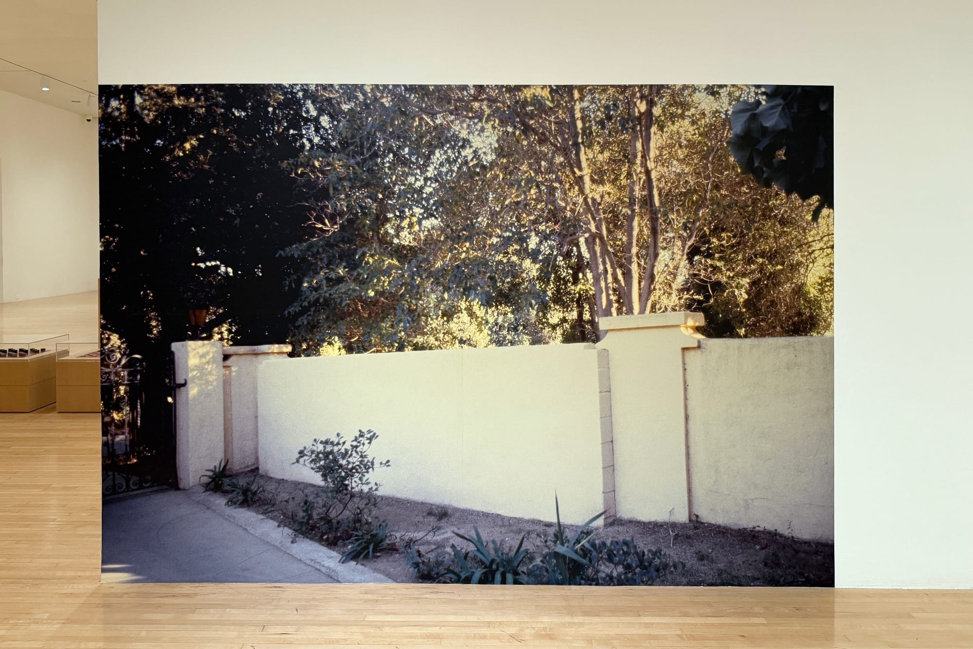 For Michael Asher, the Museum Was the Medium