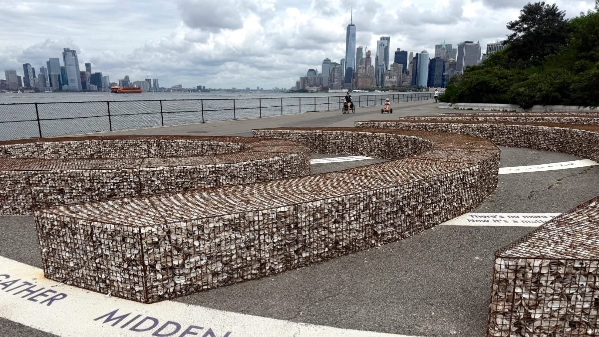 The Native History of NYC's Oysters