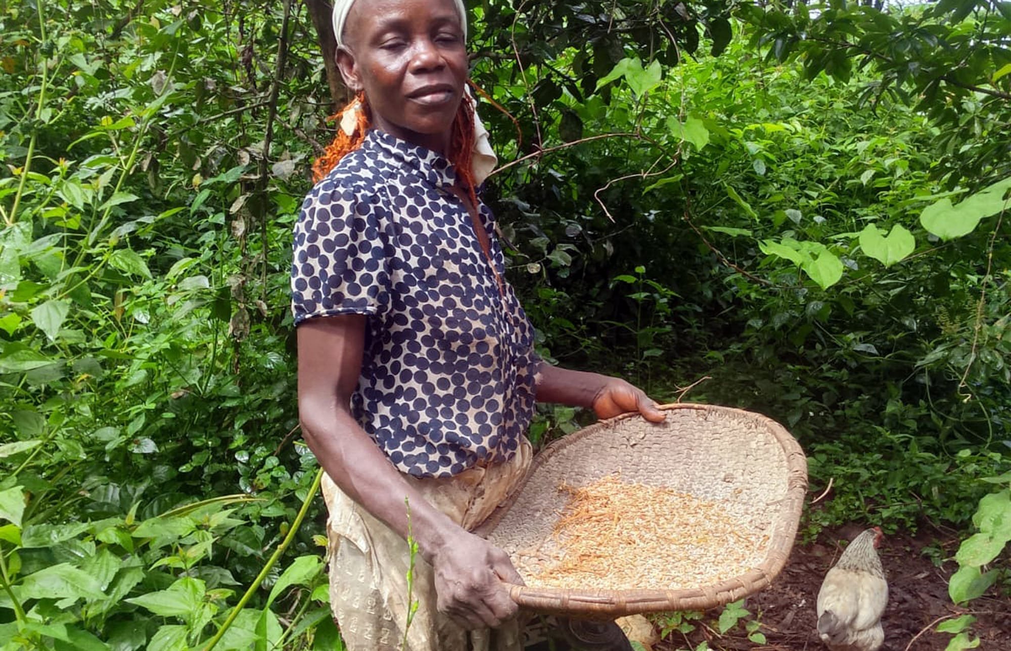 How Fannuh Baskets Connect Liberia to the US Lowcountry