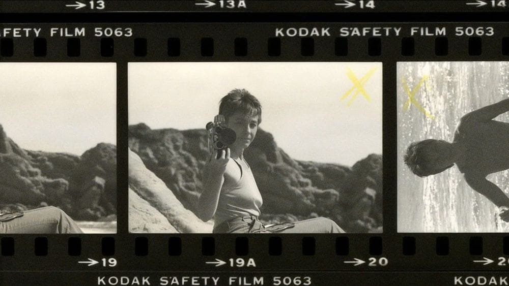 Barbara Hammer Gets Her Due