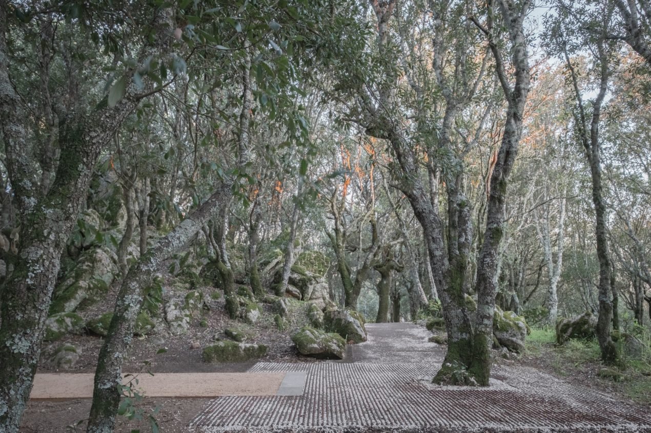 Inside at the “Ortobene” by Pasquale Murru Architect