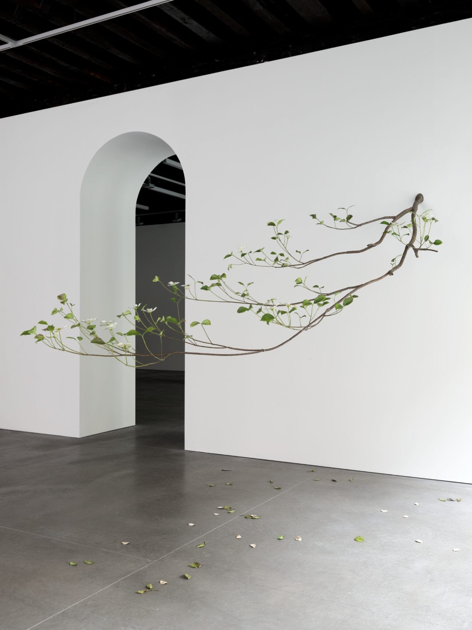 Álvaro Urbano Suspends Fleeting Moments of Decay in Metal Plants
