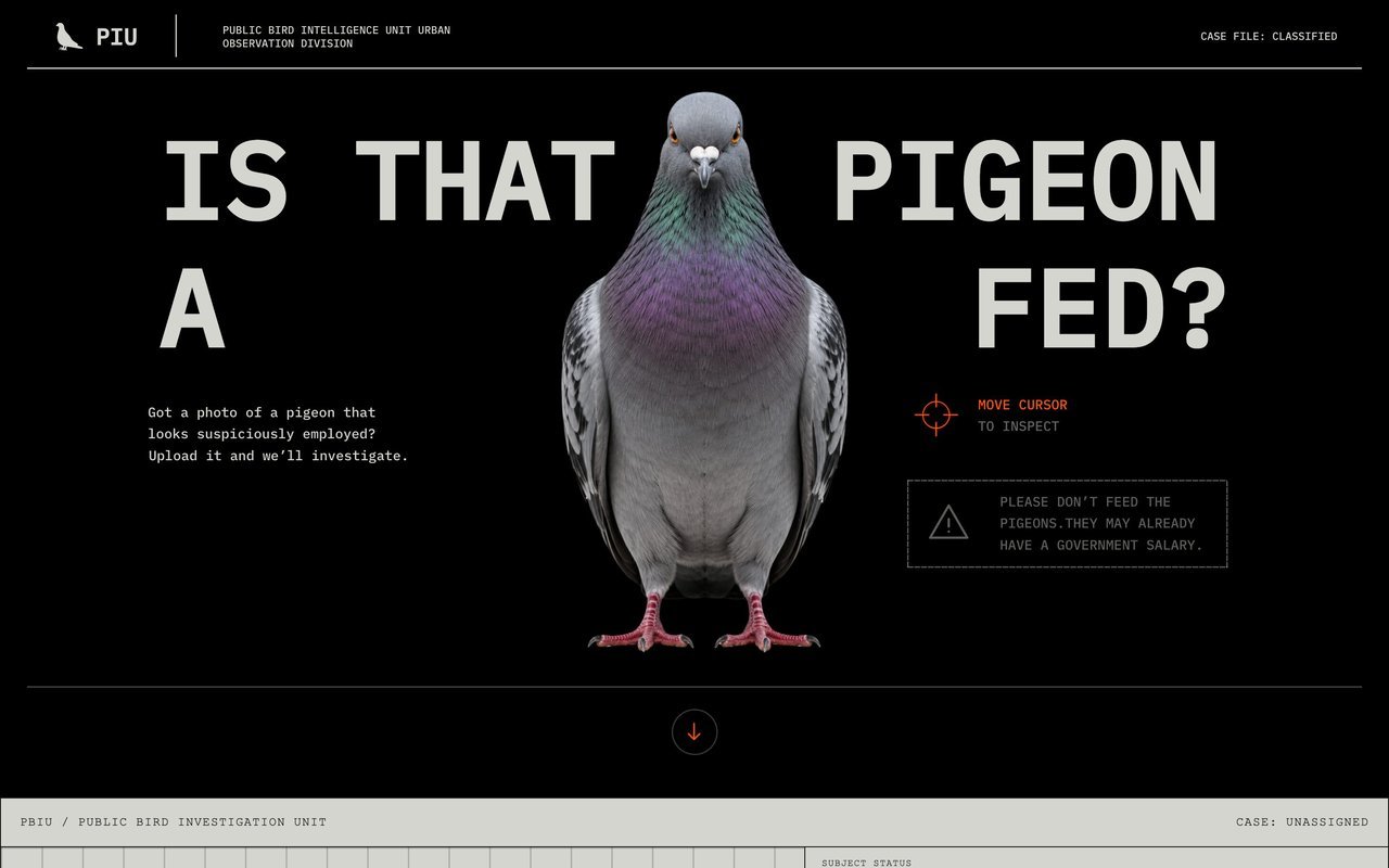 Is That Pigeon a Fed?