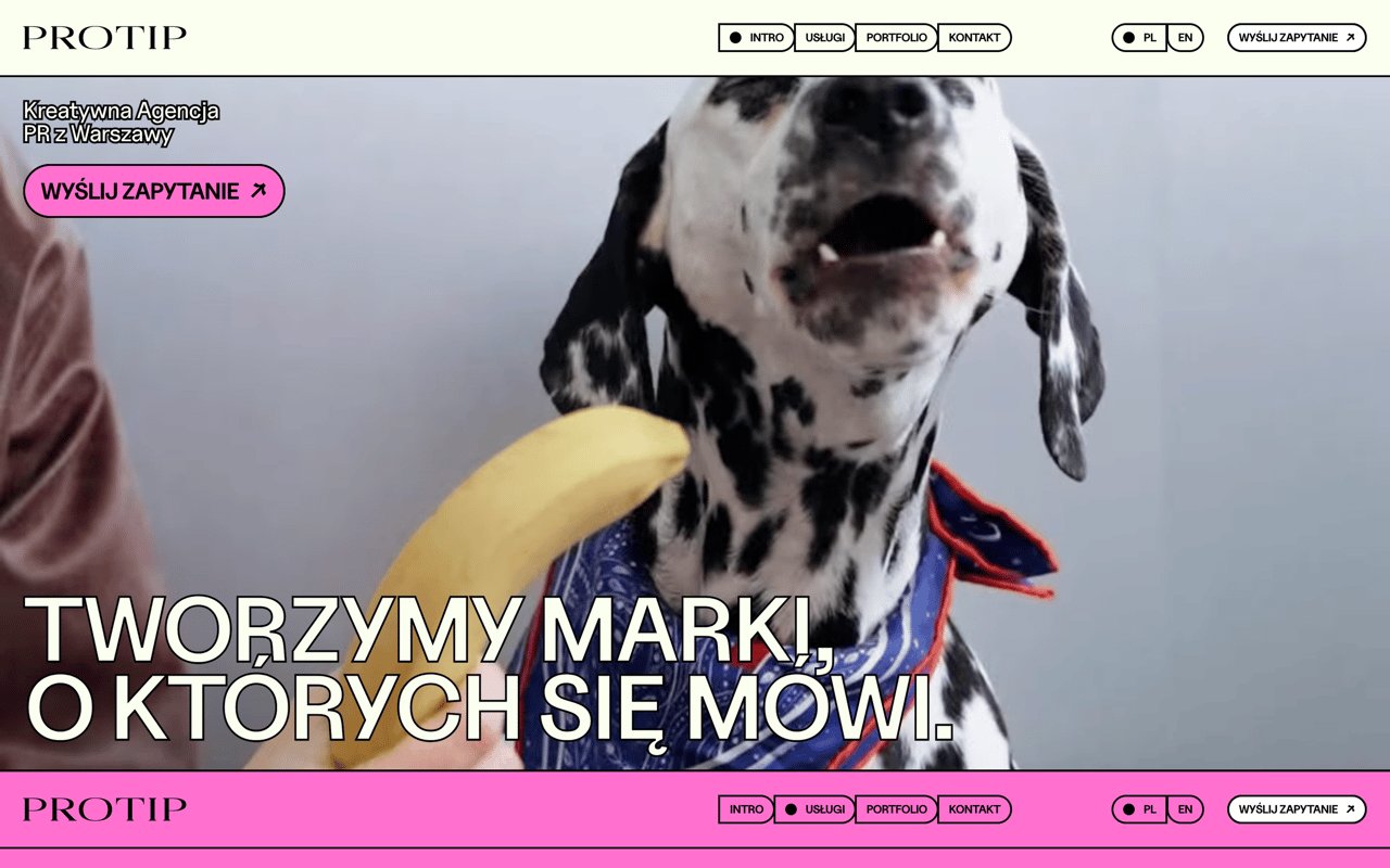 Protip Marketing