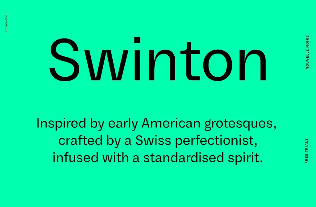 NN Swinton type family