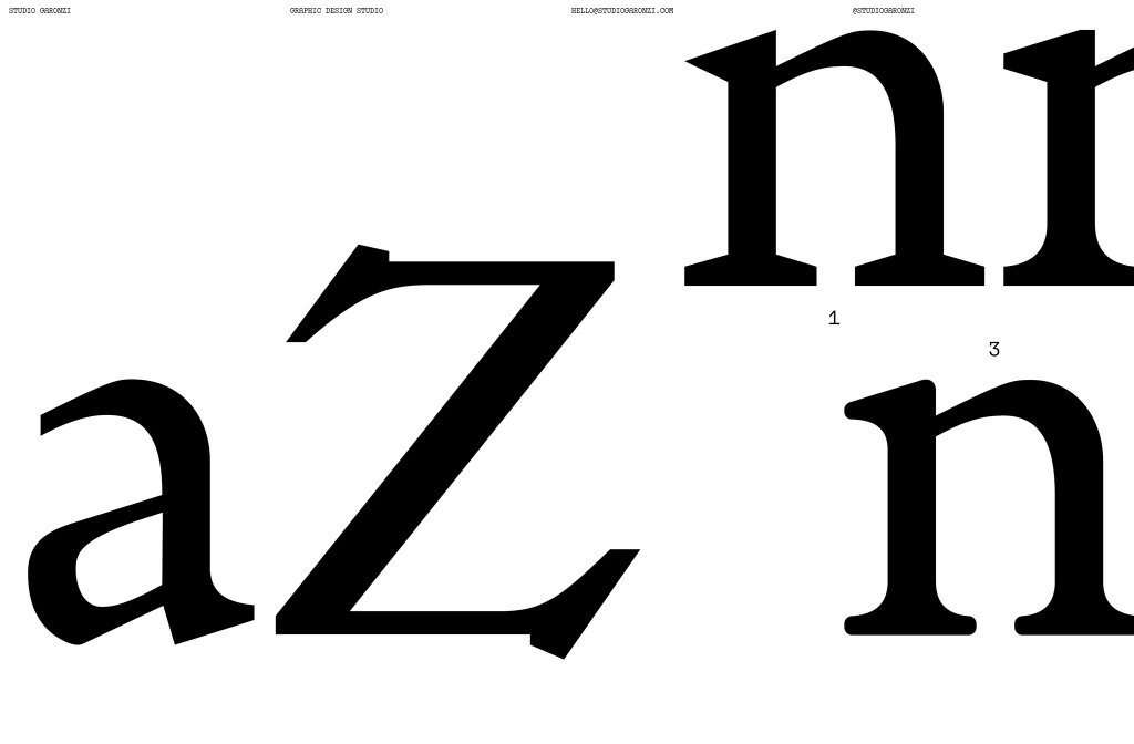 Studio Garonzi | Readymag