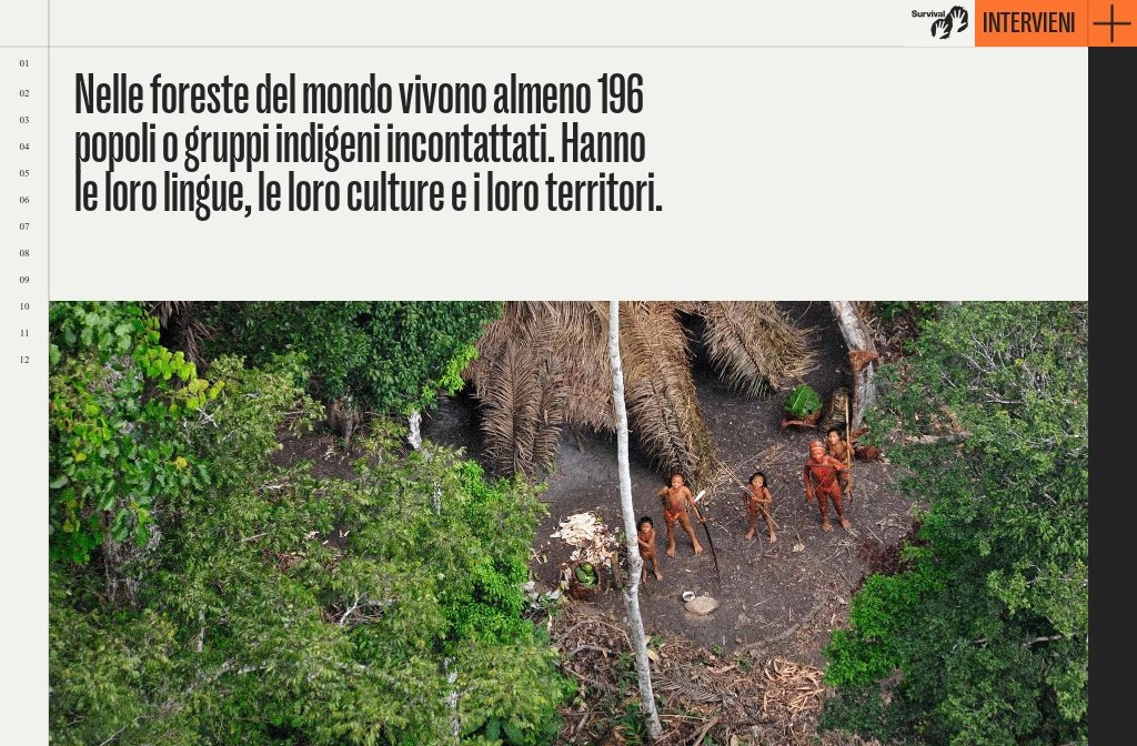 Popoli indigeni incontattati: frontiere di resistenza