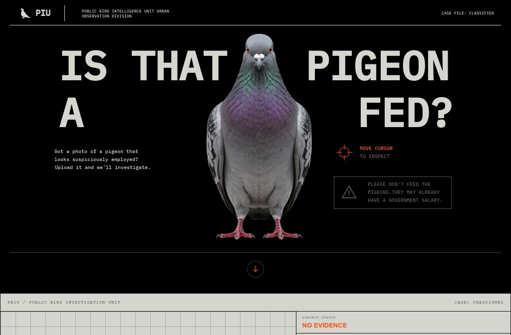 Is That Pigeon a Fed? | Readymag