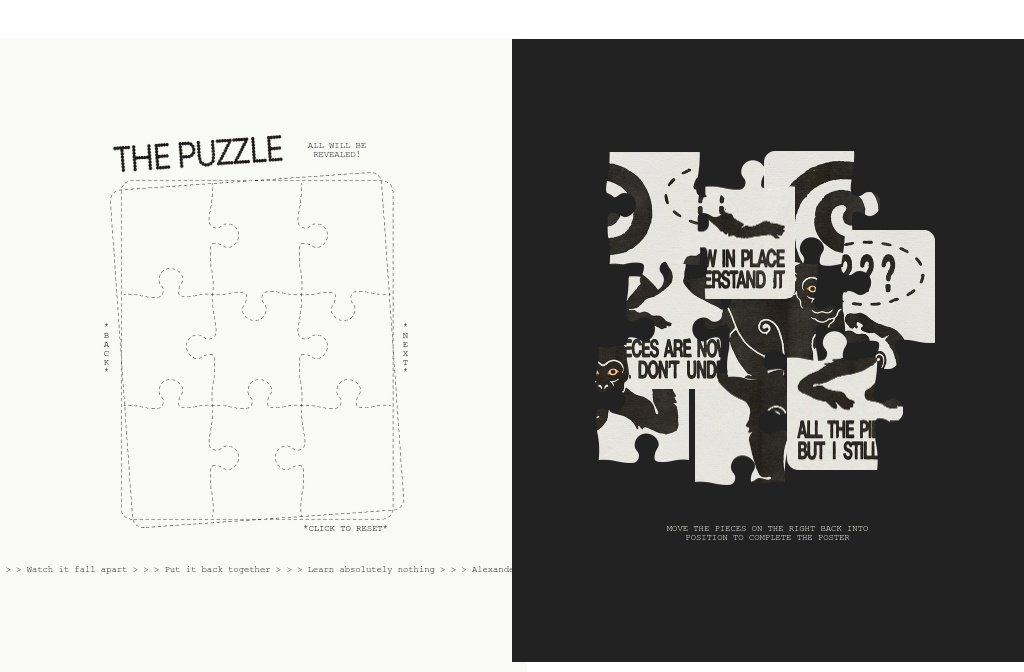 The Puzzle