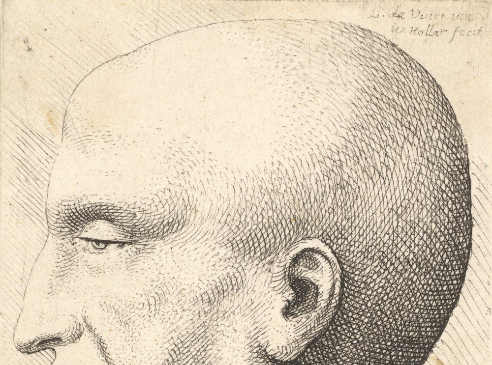 The Daily Heller: On the Joy of Baldness