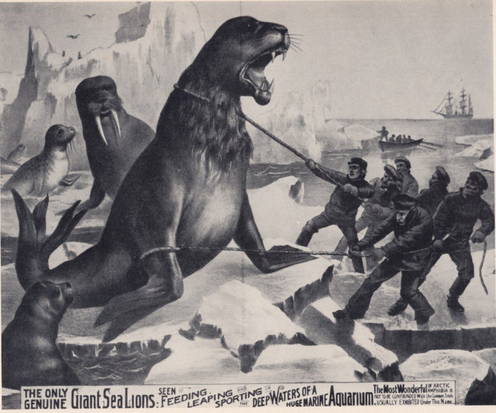 The Daily Heller: There’s a Sucker Born Every Minute