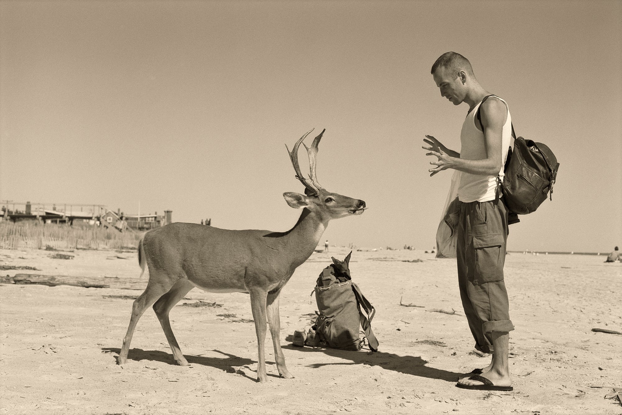 Wolfgang Tillmans on the Freedom of Fire Island
