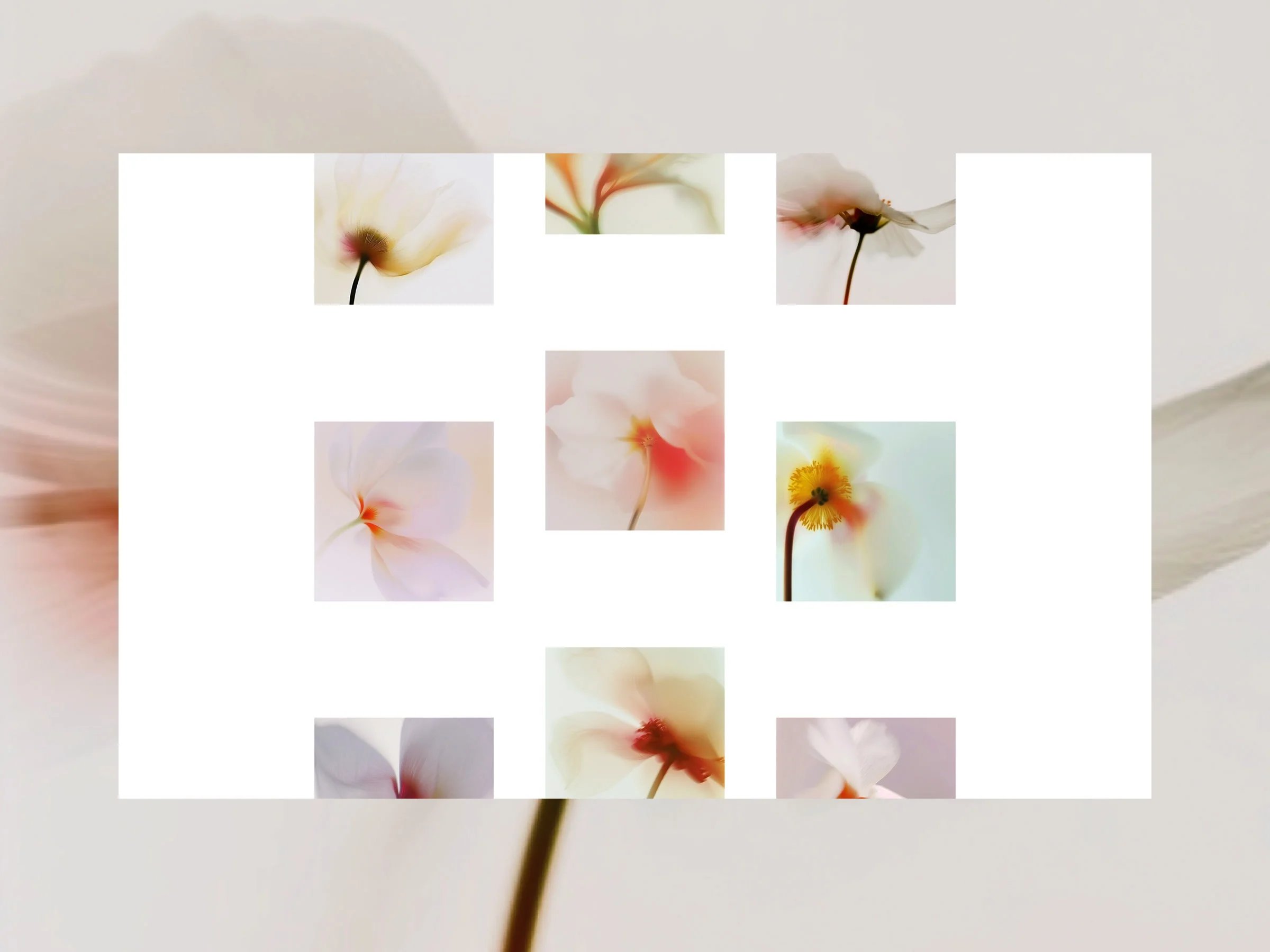 Sticky Grid Scroll: Building a Scroll-Driven Animated Grid