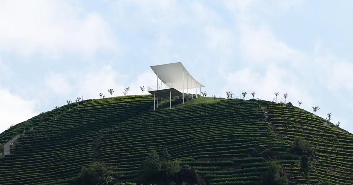 studio RE+N’s floating pavilion hovers like a thin white wing above chinese tea mountain