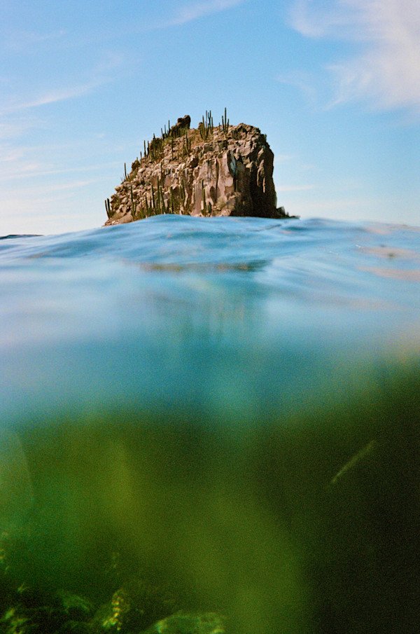 It's Time to Broaden Our Definition of Wilderness to Include the Ocean. Here's Why