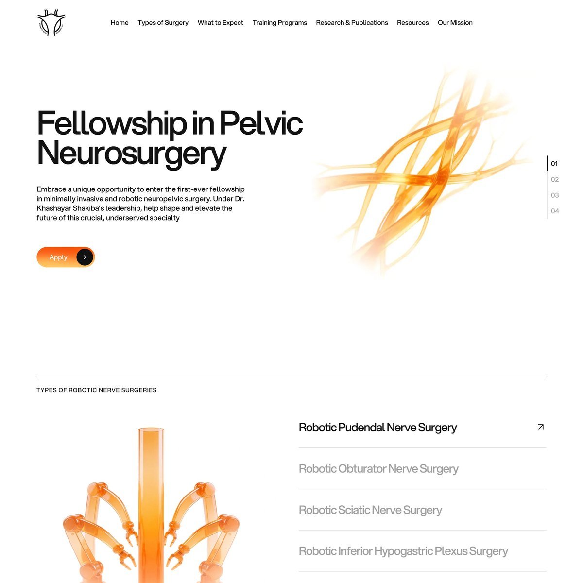 Website Inspiration: Neuropelvic Surgery