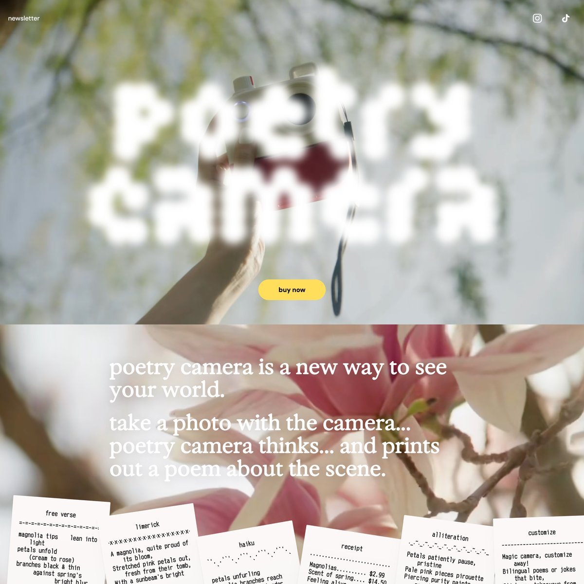 Website Inspiration: poetry camera
