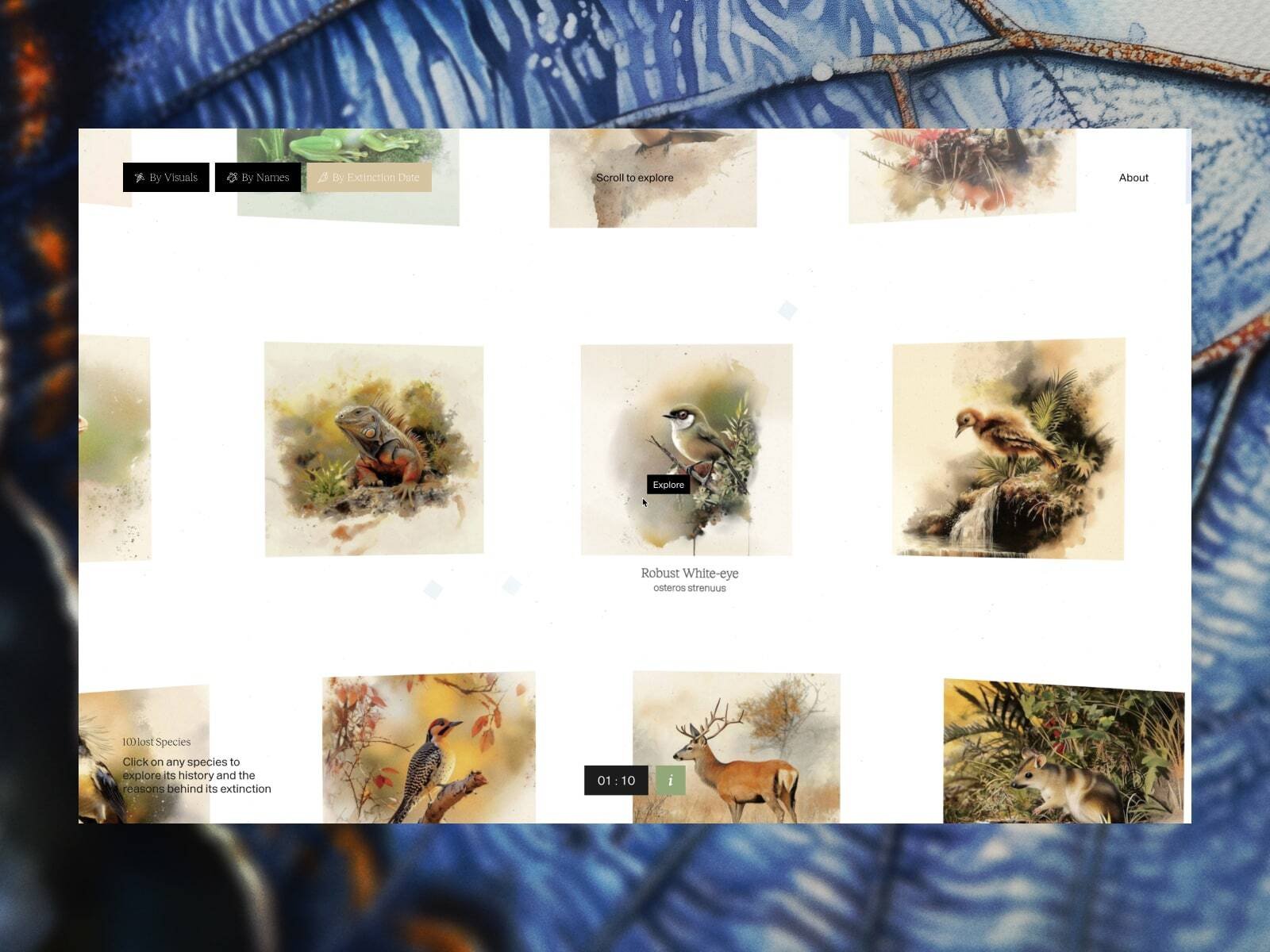 Case study: 100 Lost Species