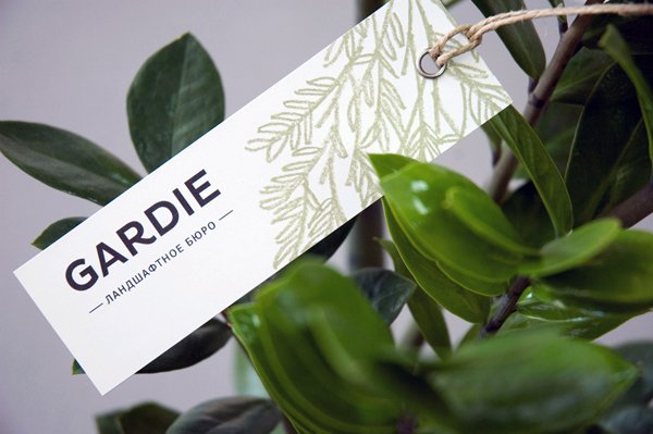 Logo and Brand Identity for Gardie by Paradox Box - BP&O