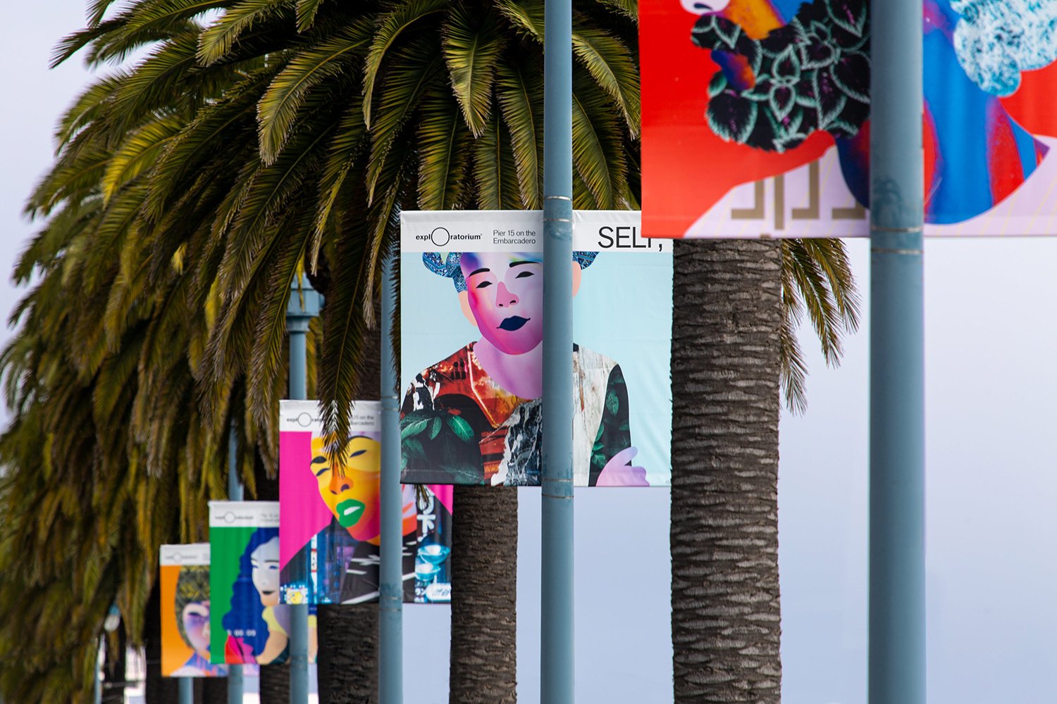 New Campaign for Self, Made by Collins — BP&O