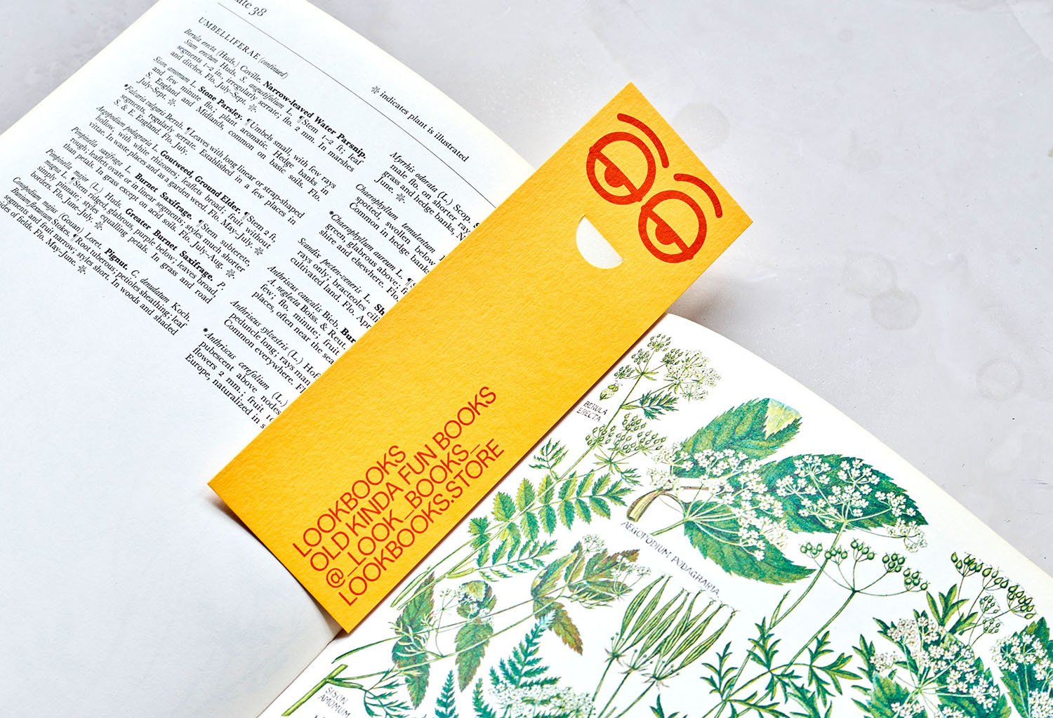 New Logo for Lookbooks by Studio Lowrie — BP&O