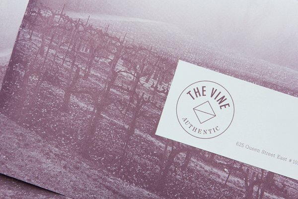 New Brand Identity for The Vine by Blok - BP&O