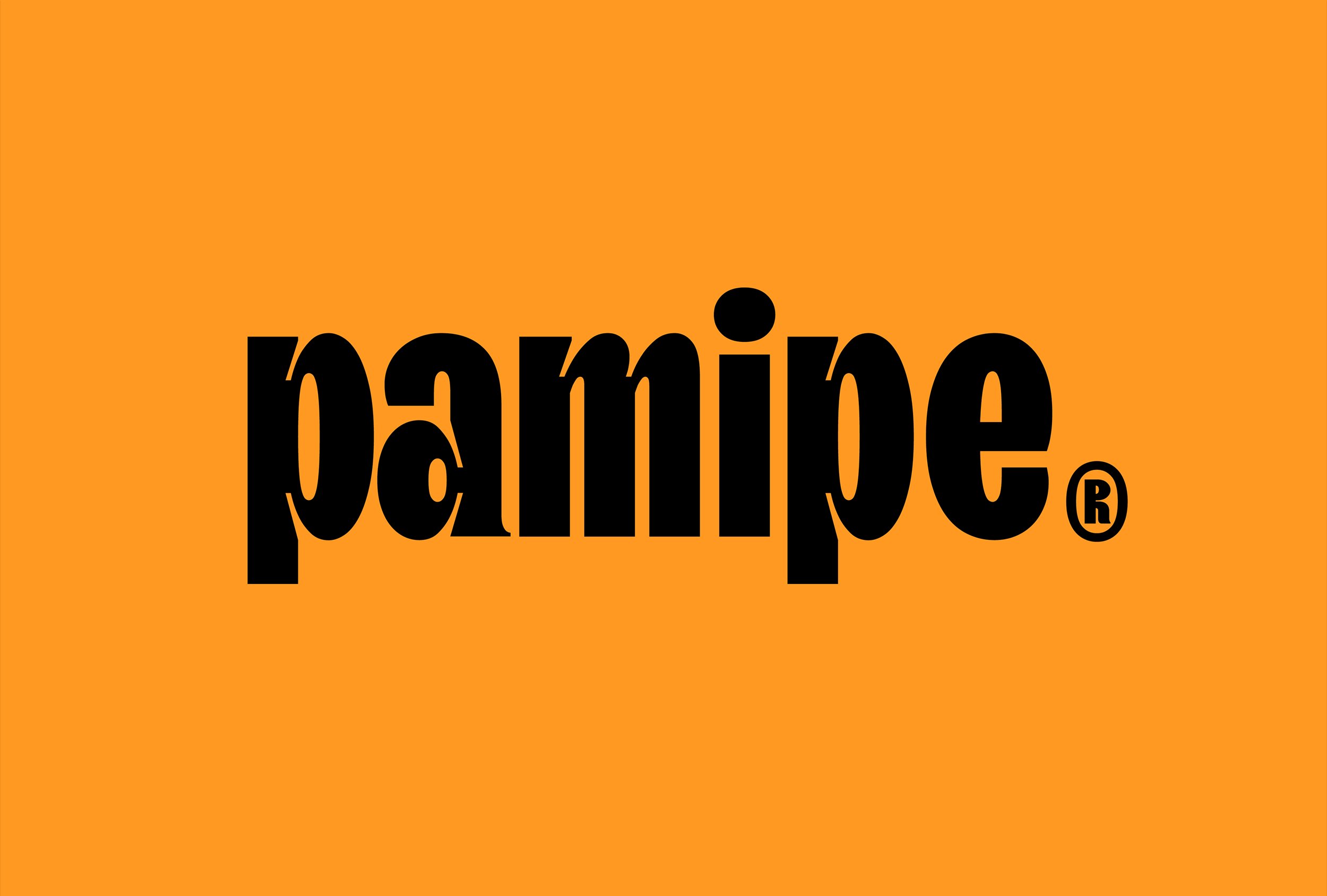 New Logo & Branding for Pamipe by Omni Design — BP&O