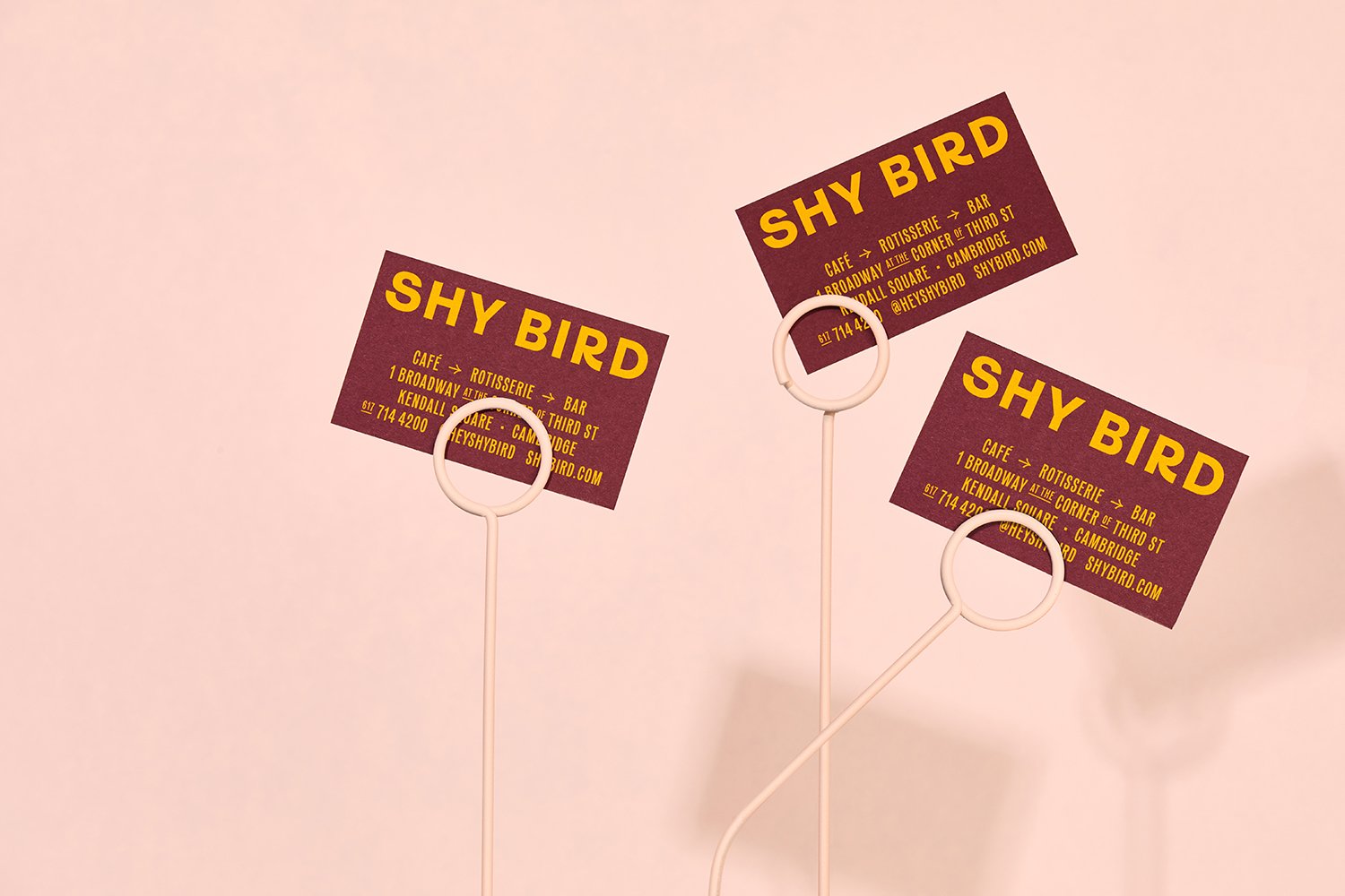 New Brand Idenity for Shy Bird by Perky Bros — BP&O