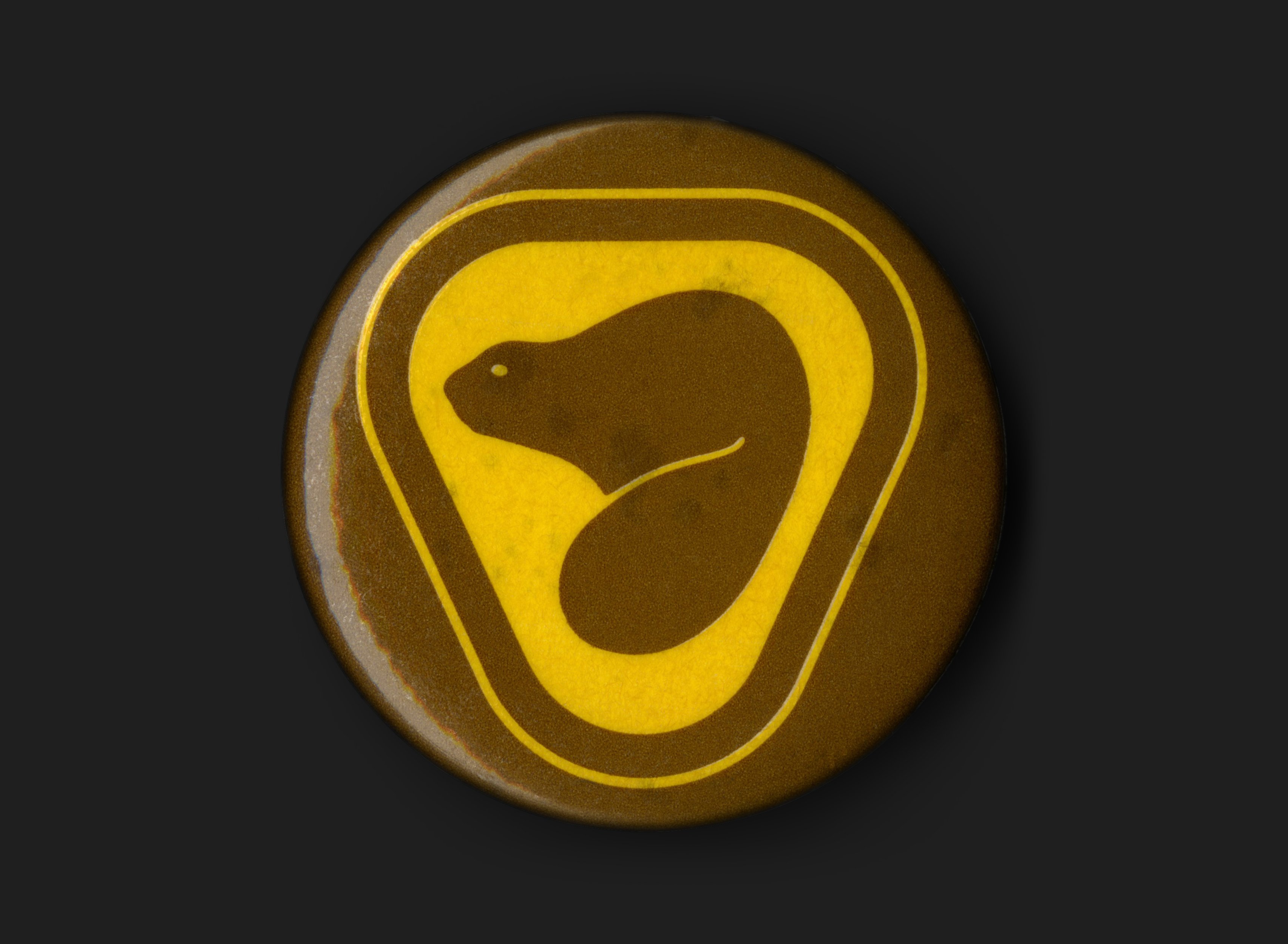 Parks Canada Pinback Badge - Canada Modern