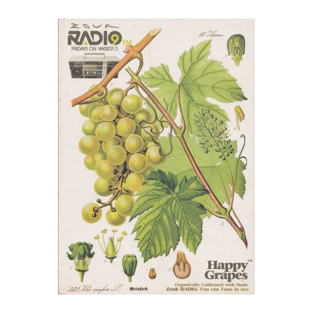 Happy Grapes