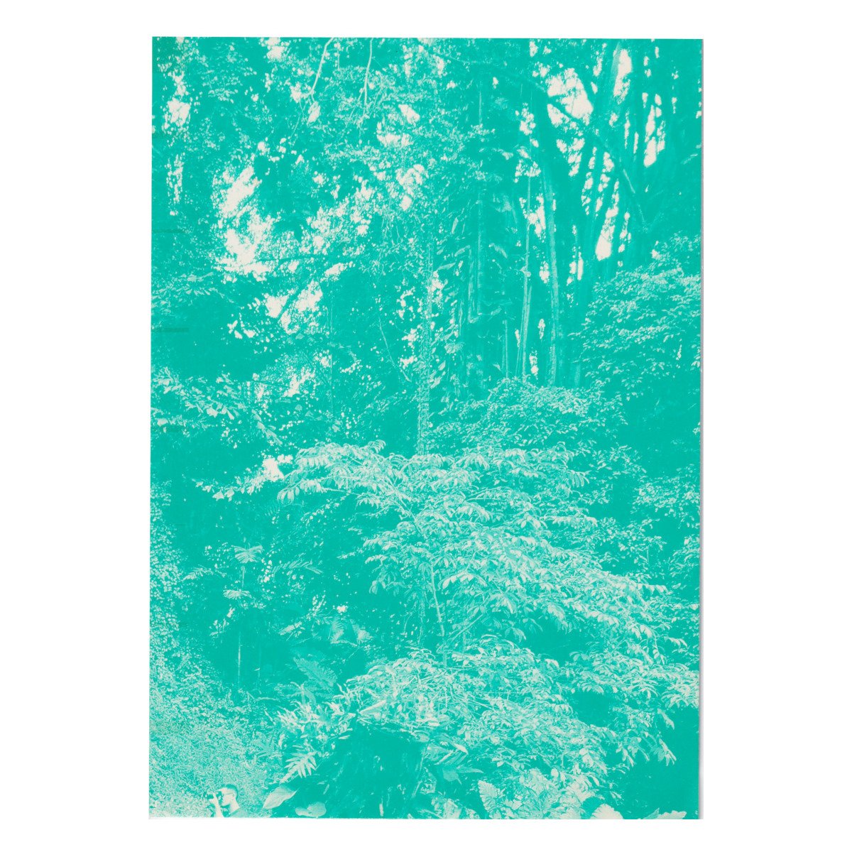INSITU Fort Canning Hill