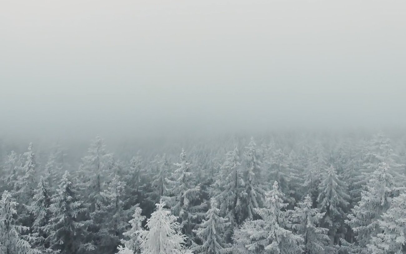 Alpine Adventure | Mindsparkle Mag