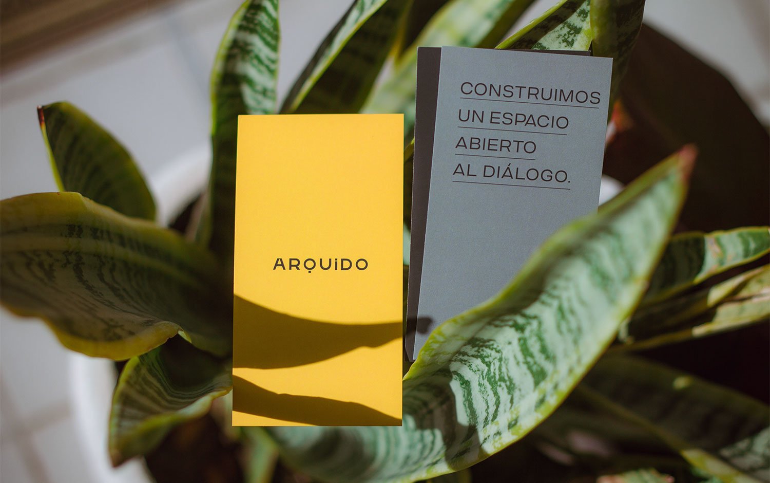Arquido | Mindsparkle Mag