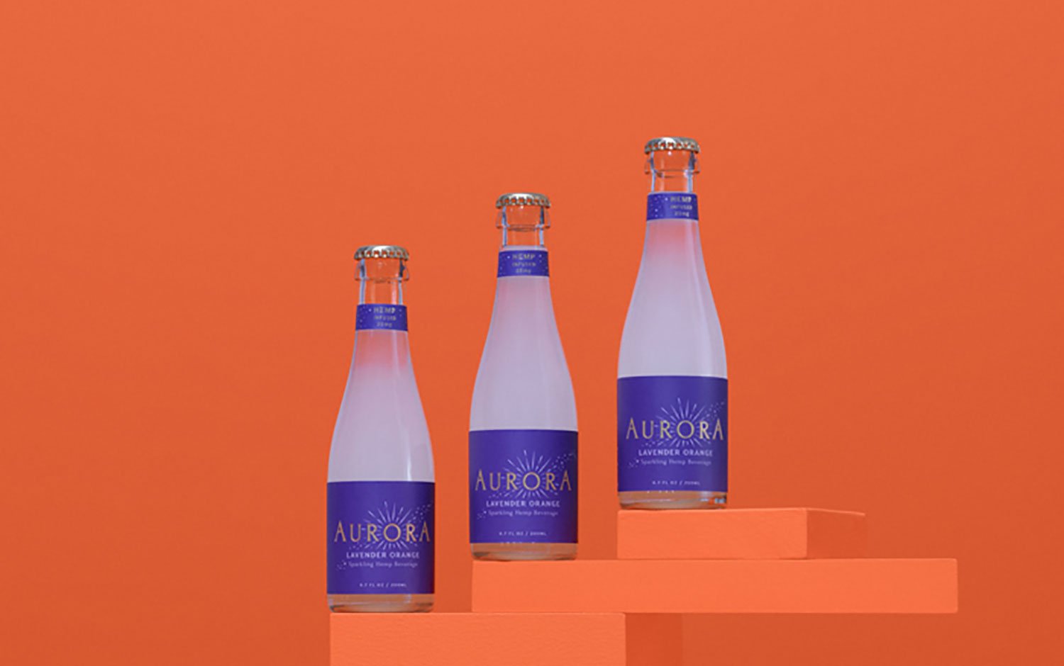 Aurora | Mindsparkle Mag
