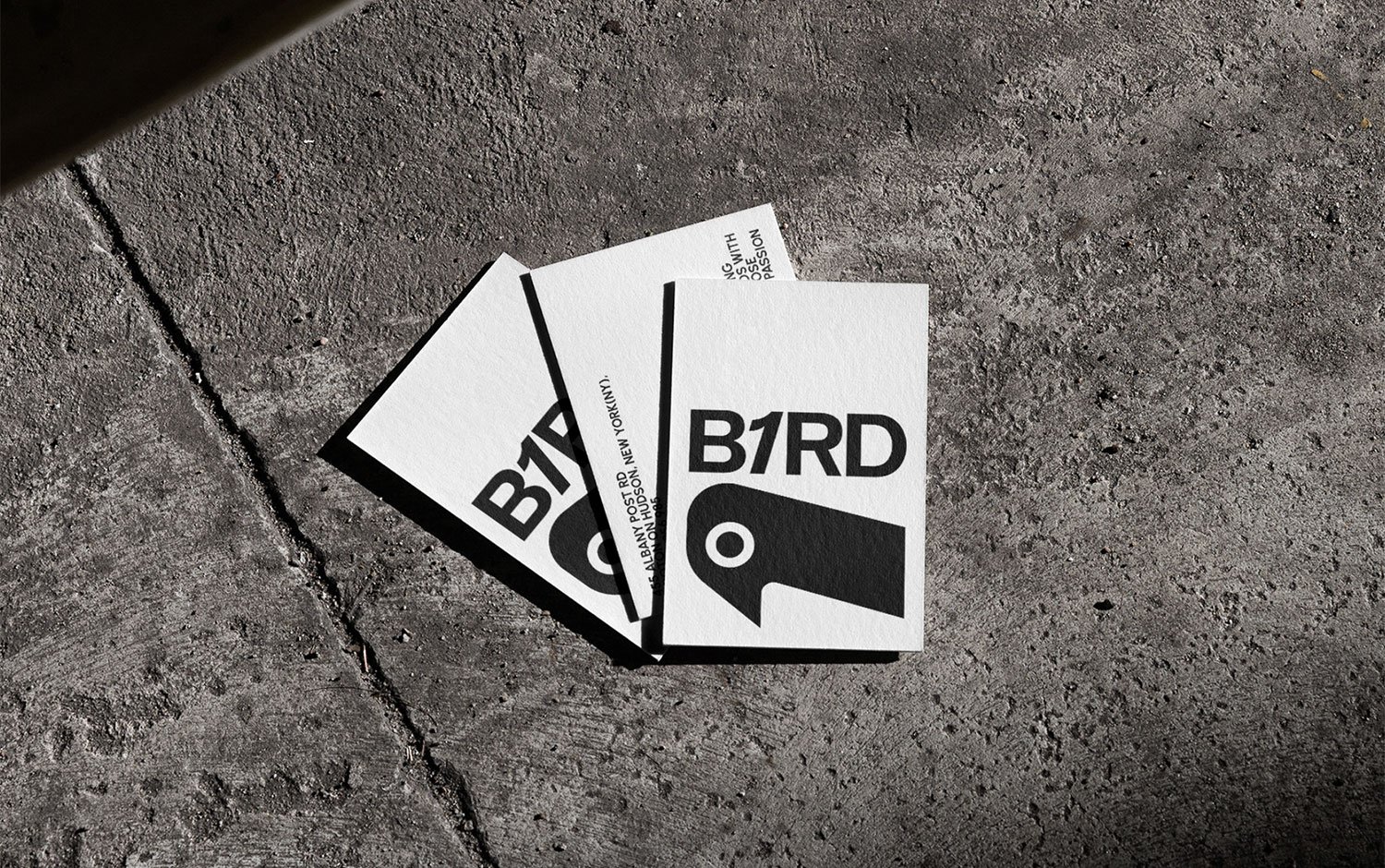 B1IRD Branding | Mindsparkle Mag