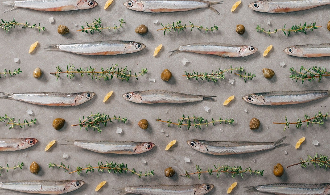 Barilla Textured Recipes | Mindsparkle Mag