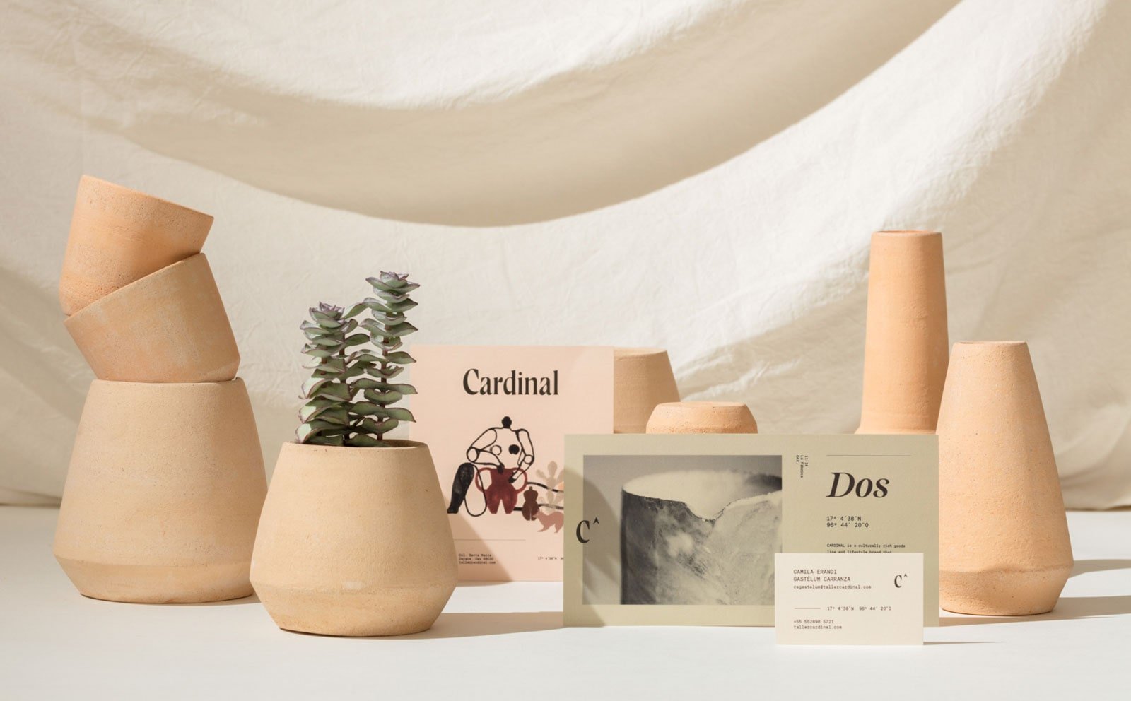 Cardinal | Mindsparkle Mag