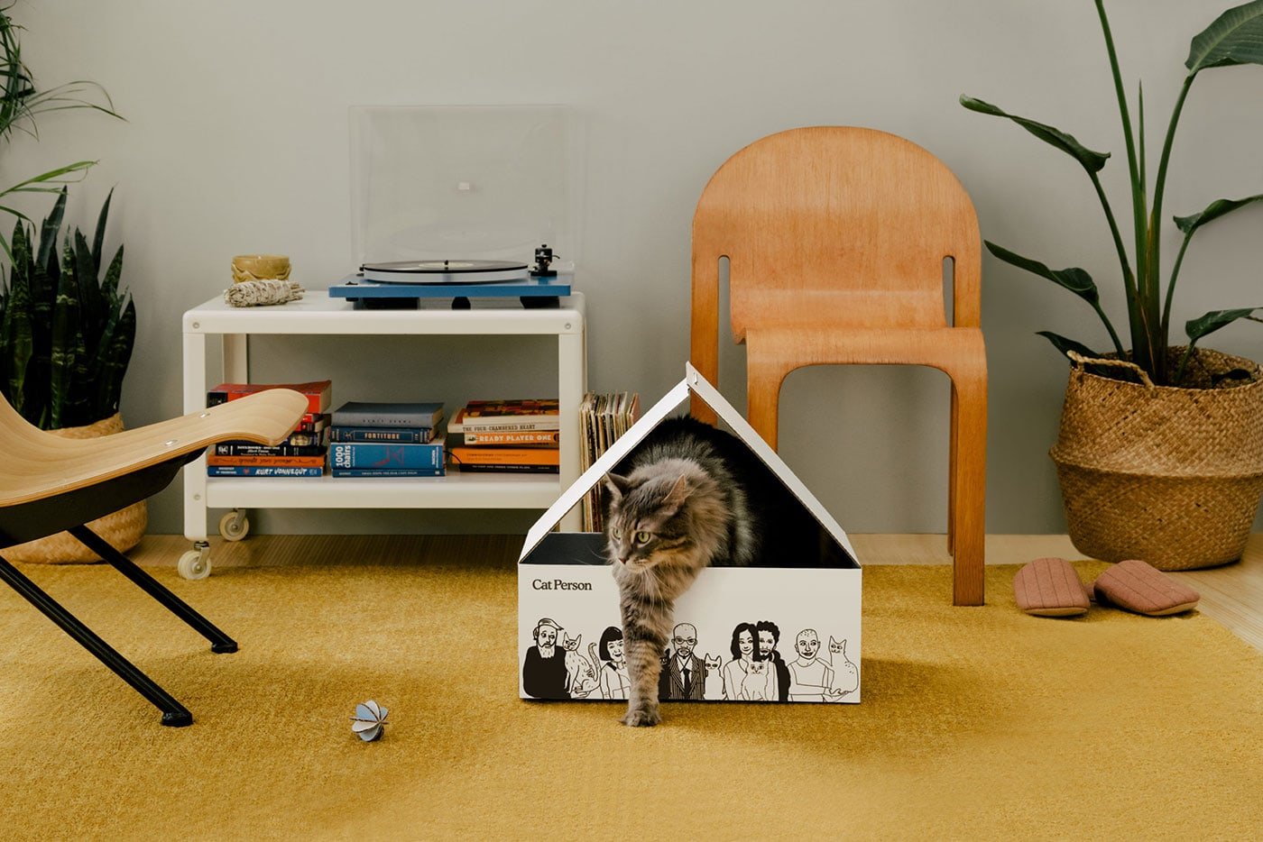 Cat Person | Mindsparkle Mag