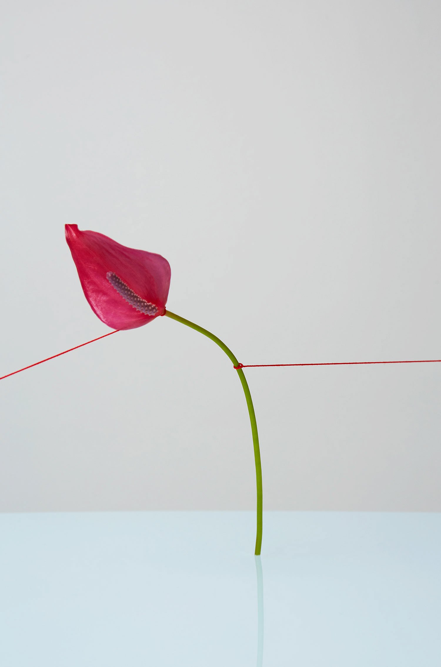 Challenging Youth Sindroms Pink | Mindsparkle Mag