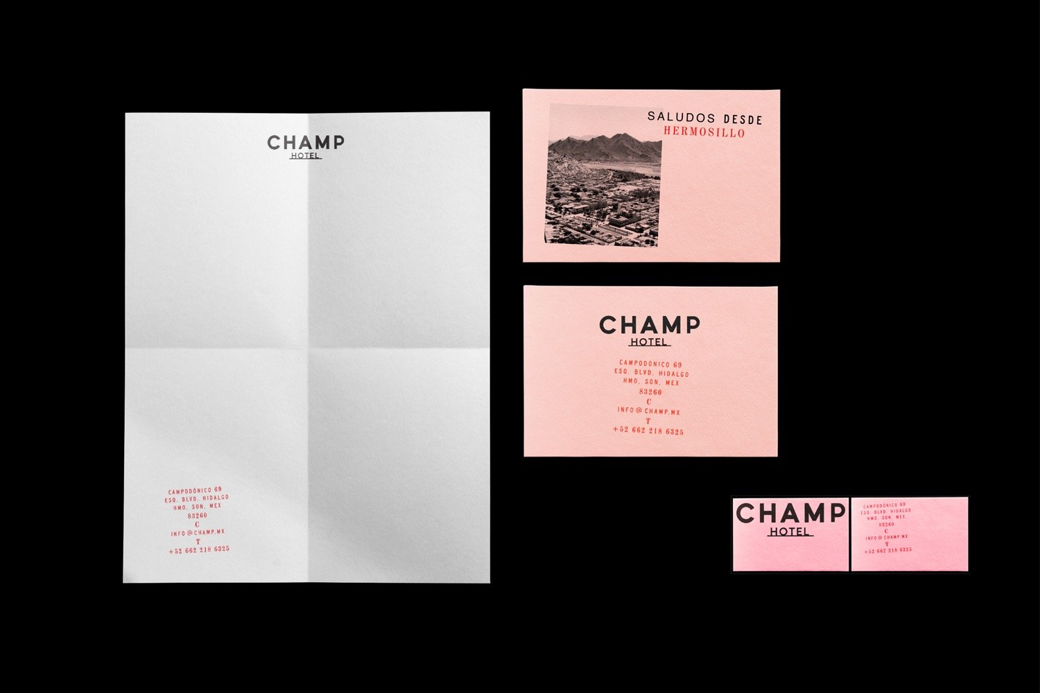 Champ | Mindsparkle Mag