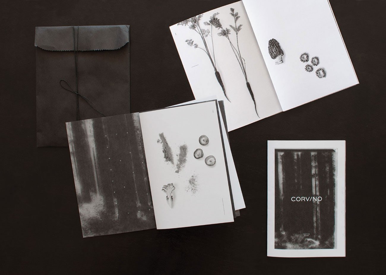 Corvino | Mindsparkle Mag
