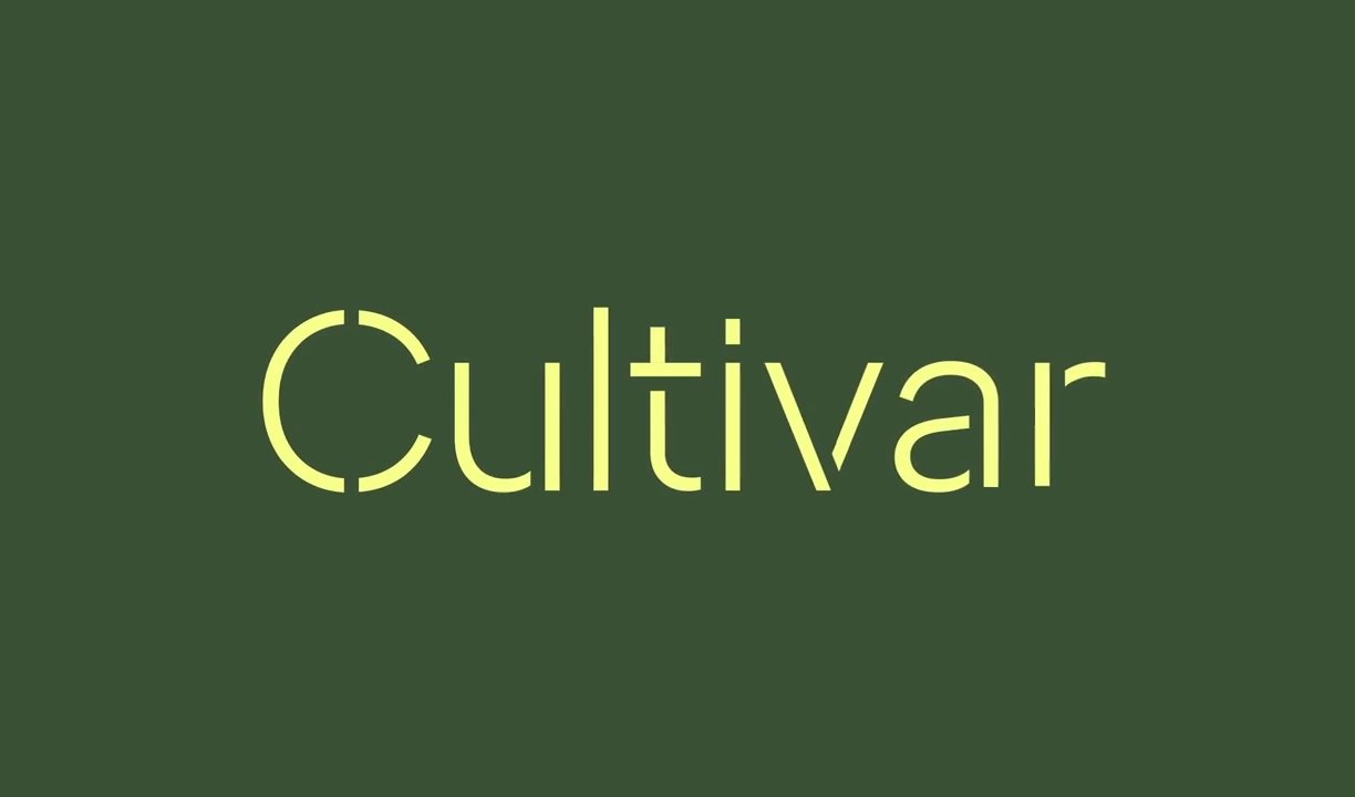 Cultivar | Mindsparkle Mag