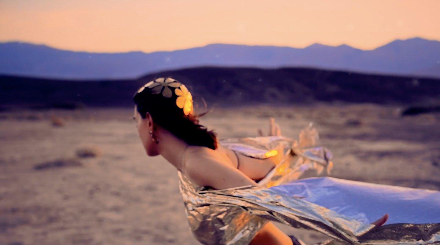 Desert Flower at Night | Mindsparkle Mag